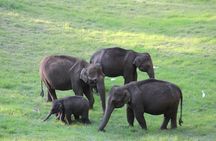 Explore Munnar Day Trip From Cochin ( By Munnar Info)