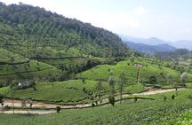 Explore Munnar Day Trip From Cochin ( By Munnar Info)