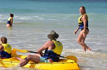 Private Double Island Point Wildlife Kayak or Surf Tour - Noosa