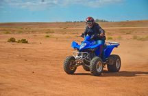Marrakech Palmeraie Quad Bike Desert Adventure