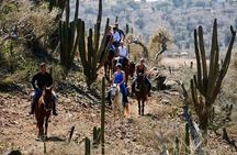 Horseback Ride Tour to Natural Pool in Arikok National Park