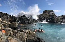 Horseback Ride Tour to Natural Pool in Arikok National Park