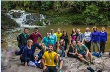 Immersion In An Untouched Ecosystem – Adventurous Full Day Hiking Tour