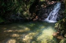Immersion In An Untouched Ecosystem – Adventurous Full Day Hiking Tour