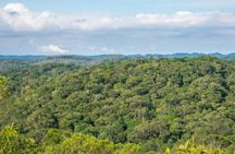 Immersion In An Untouched Ecosystem – Adventurous Full Day Hiking Tour