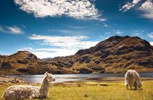 Cotopaxi & Quilotoa 1 day Adventure!