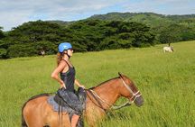 Horseback Riding 2hrs - Dreams Las Mareas