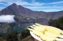 Trekking Rinjani Volcano To Crater Rim Senaru 2D-1N Private - Syam Trekker
