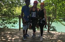 PRIVATE Zipline & Baboon Sanctuary Experience 