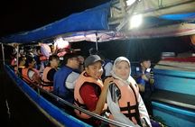 Twinkling Kuala Selangor Firefly Boat Tour from Kuala Lumpur