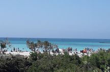 Elafonisi Beach - Private Tour to Pink Sands from Chania