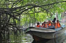 Galle Day Private Tour Beruwala/Bentota/Kosgoda/Ahungalla