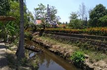 Private Day Trip To Visit MY LAI MASSACRE from Hoi an or Da Nang City