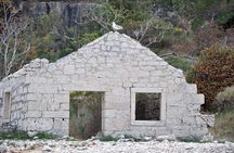 Bits of History - Half day kayak Tour with Wine delight