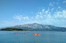 Bits of History - Half day kayak Tour with Wine delight