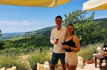 Discover Valpolicella Vineyards and Wine Tasting Experience