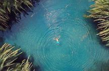 Kikuletwa (Chemka) Hot Springs Day Tour