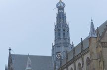 Delightful Haarlem
