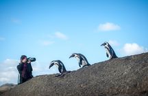 Peninsula Photography Tour
