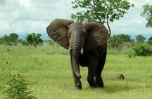 4 Days Mikumi & Udzungwa National Parks Safari