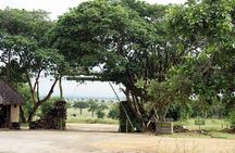 4 Days Mikumi & Udzungwa National Parks Safari