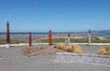Shore Excursion: Napier and Surrounding Countryside Scenic Tour
