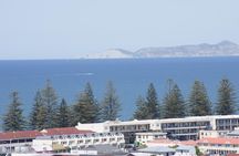 Shore Excursion: Napier and Surrounding Countryside Scenic Tour