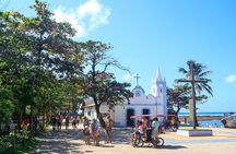 Praia do Forte Full Day Tour, Salvador, Bahia, Brazil