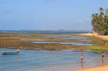 Praia do Forte Full Day Tour, Salvador, Bahia, Brazil