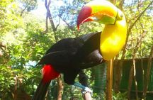 Mayan Eden Eco Wildlife Park, City Tour & Private Transfer