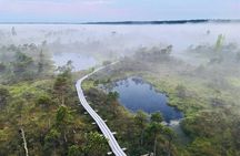 Ķemeri Bog Boardwalk, Baltic Sea & Jūrmala Day Tour from Riga