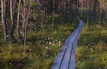Ķemeri Bog Boardwalk, Baltic Sea & Jūrmala Day Tour from Riga