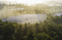 Ķemeri Bog Boardwalk, Baltic Sea & Jūrmala Day Tour from Riga