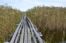 Ķemeri Bog Boardwalk, Baltic Sea & Jūrmala Day Tour from Riga