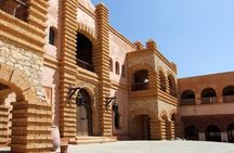 Crocodile Park+ Coco Polizzi including Transportation and entrance