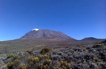 6 days Machame route From Arusha / Kilimanjaro 