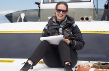 Victoria Marine Wildlife Tour