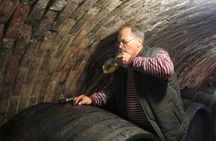 Moravian wine trails