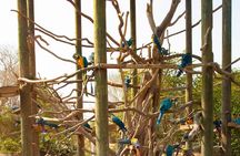 Aviario Nacional Including Playa Blanca Shared Tour