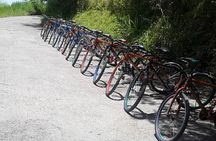 Blue Mountain Bicycle Tour from Kingston
