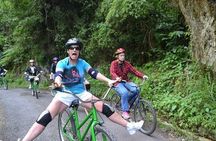 Blue Mountain Bicycle Tour from Runaway Bay