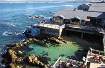 Big Sur Monterey California Coast from San Jose 1 - 12 people