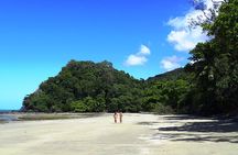 Cape Tribulation Day Tour from Cairns