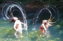 Cape Tribulation Day Tour from Cairns