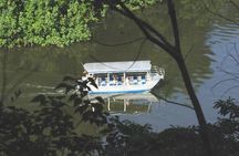 Cape Tribulation Day Tour from Cairns