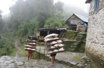 5 Days Mardi Himal Base Camp Trek 