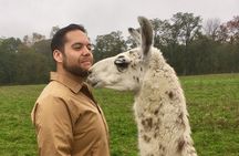 Llama/Alpaca Hike and Farm Tour