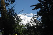 2 Days Panchase Hill Trekking