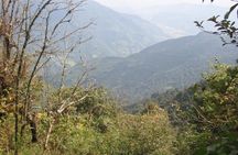 2 Days Panchase Hill Trekking