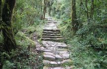 2 Days Panchase Hill Trekking